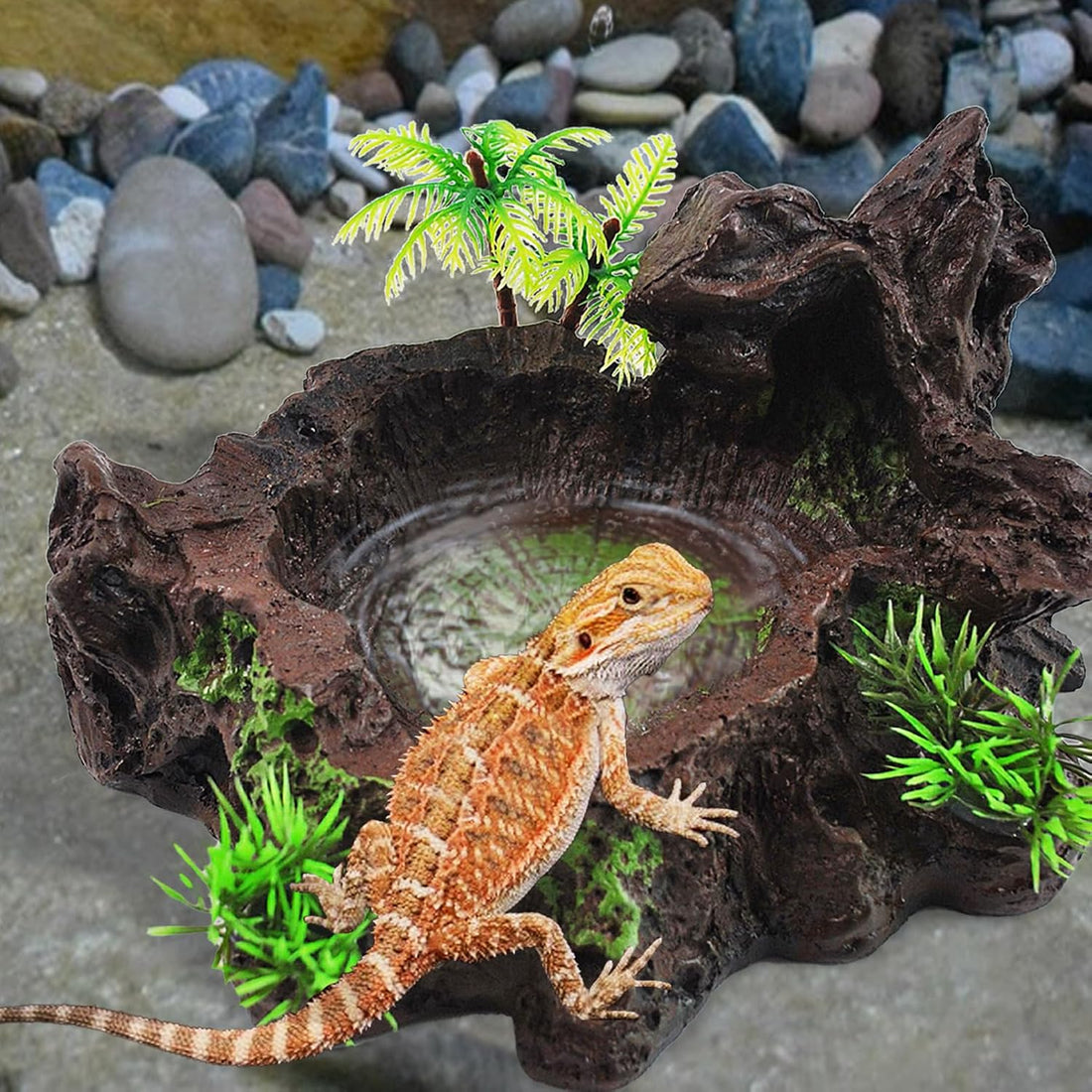 kathson Magnetic Reptile Feeder Ledge,Double Bowl Magnetic Lizard