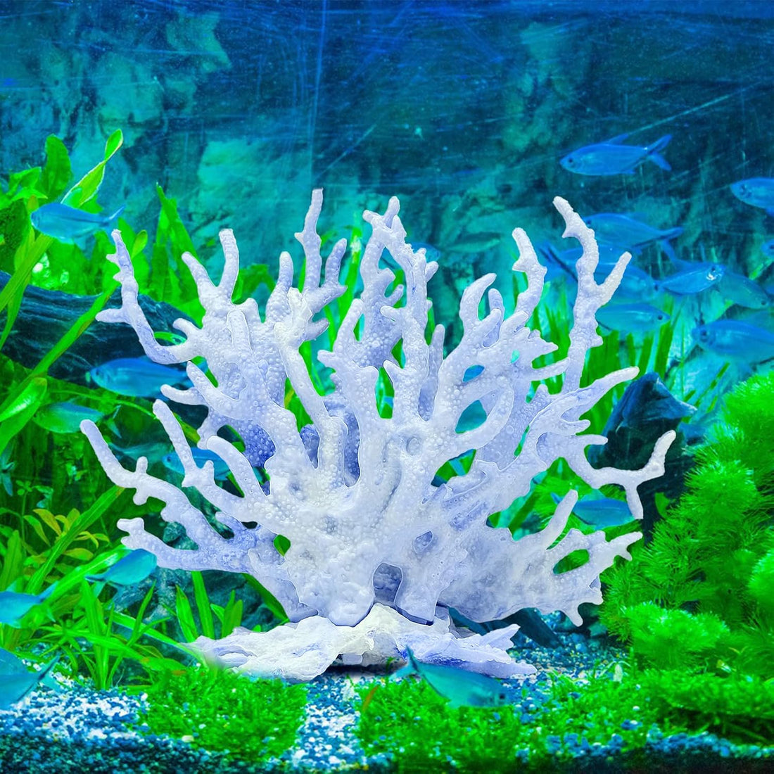 2 PCS Aquarium Coral Ornament, Blue Pink Coral Reef Decor