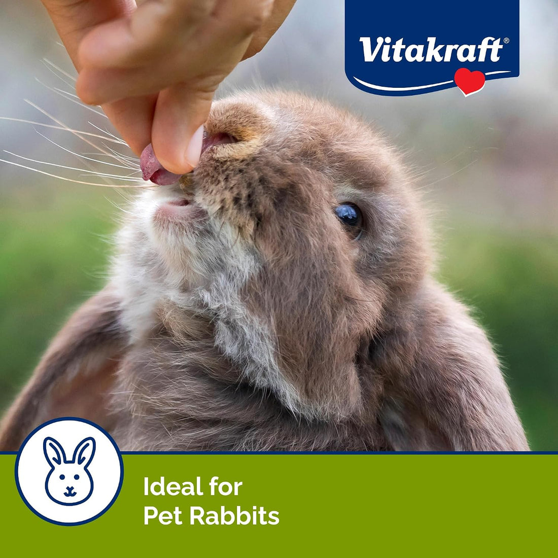 Vitakraft Drops Rabbit Treat with Wildberry Flavor 5.3 oz.