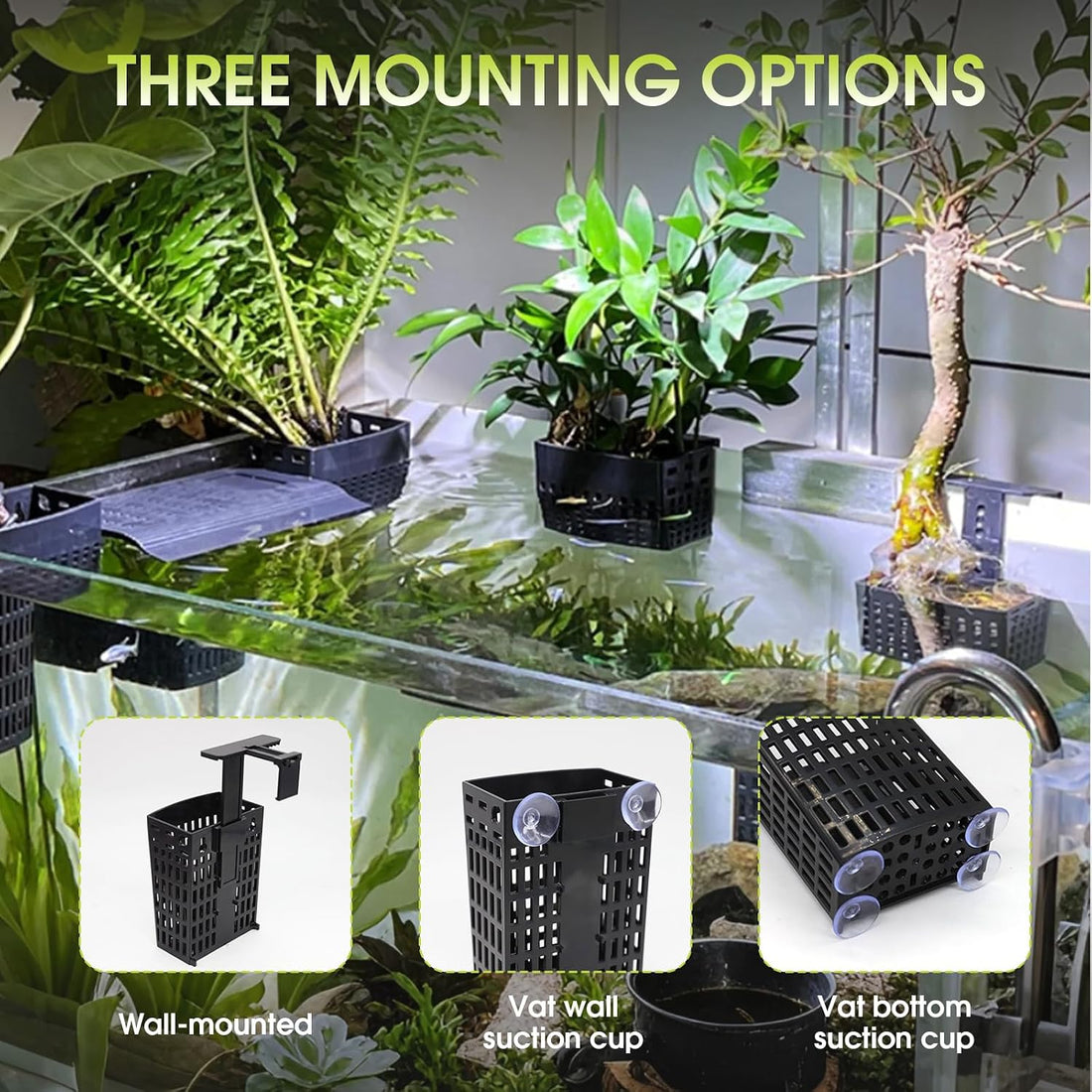 2 PCS Upgraded Aquarium Plant Holder