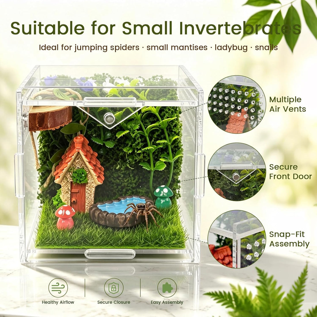 MHDGG Jumping Spider Enclosure Kit, Clear Acrylic Terrarium, 2 Pack