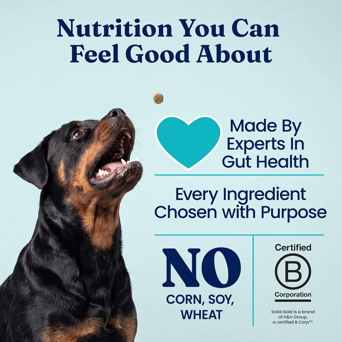 Solid Gold Dehydrated Chicken & Pumpkin Dog Food