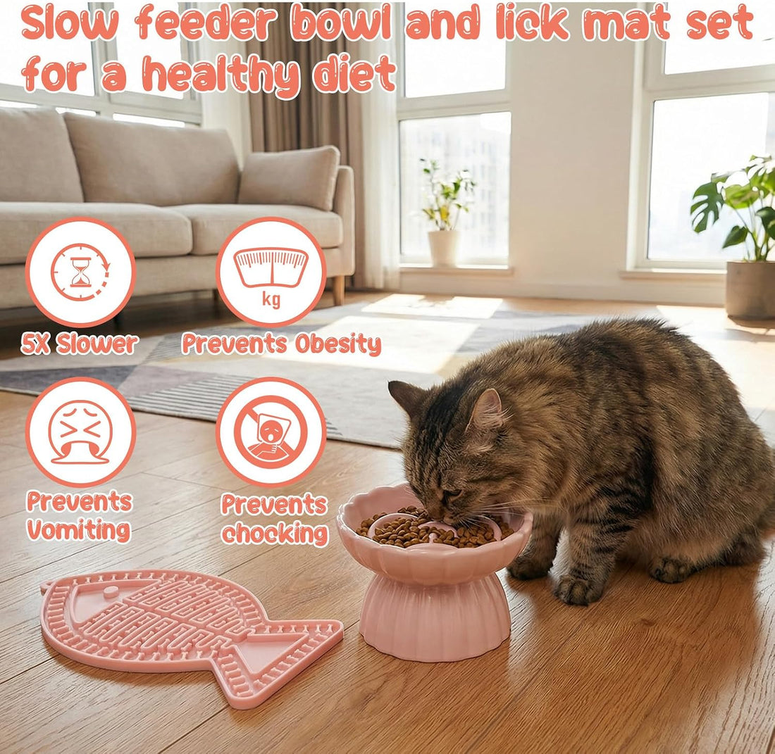 Ceramic Raised Slow Feeder Cat Bowl with Lick Mat