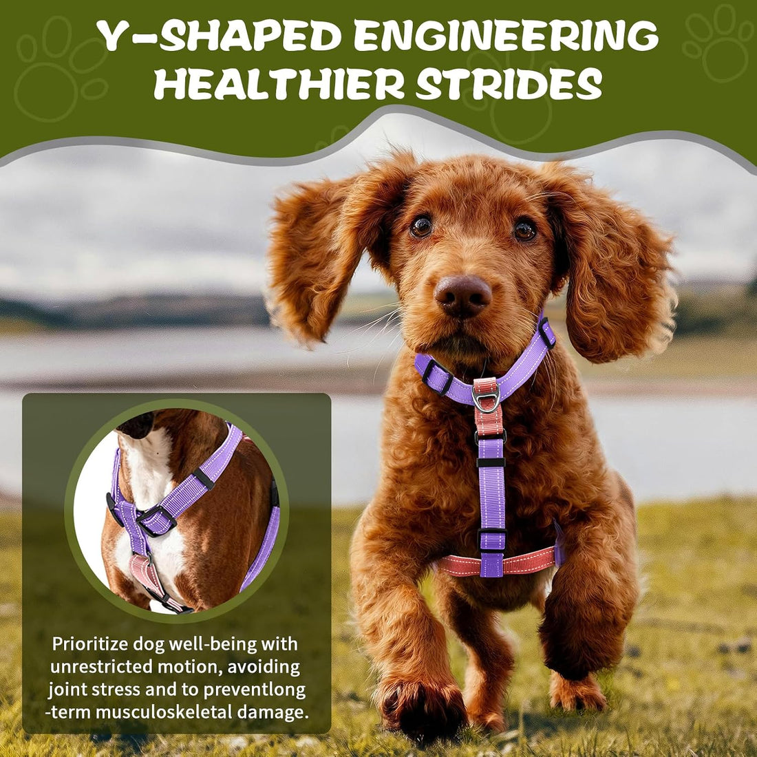 Dog Harness,Adjustable No Pull Dog Harness,Y-Shaped Design