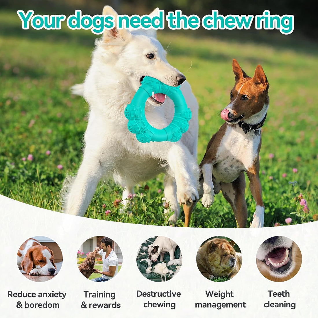 Indestructible Dog Chews - Super Duty Chew Toys for Aggressive Dogs