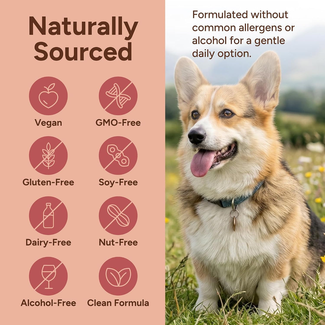 Aussie Pure Pet Therapy Blushwood Berry EBC-46 Tincture - 120ML