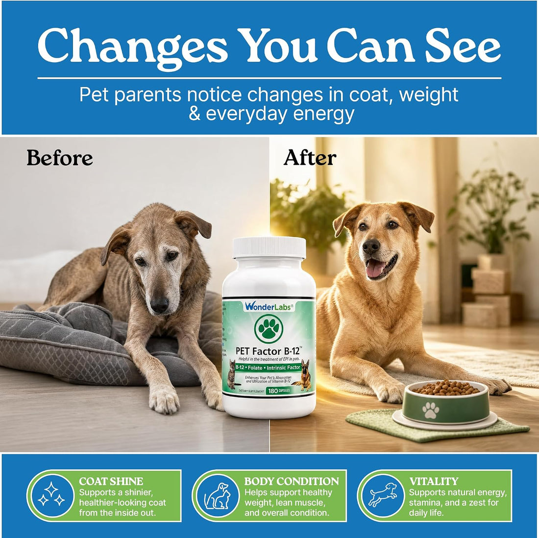 Wonder Laboratories Vitamin B12 - Methylcobalamin Dog Supplement