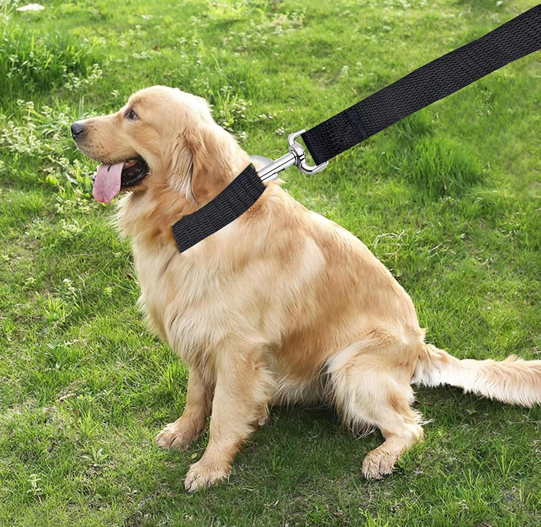 TAIAN 4FT/5FT/6FT Strong Dog Leash
