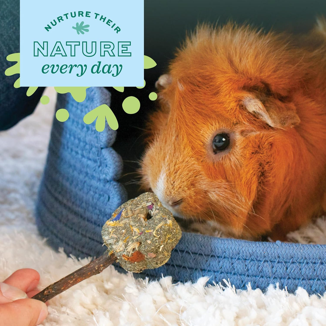 Oxbow Apple Stick Bouquet, Rabbit & Guinea Pig Toys