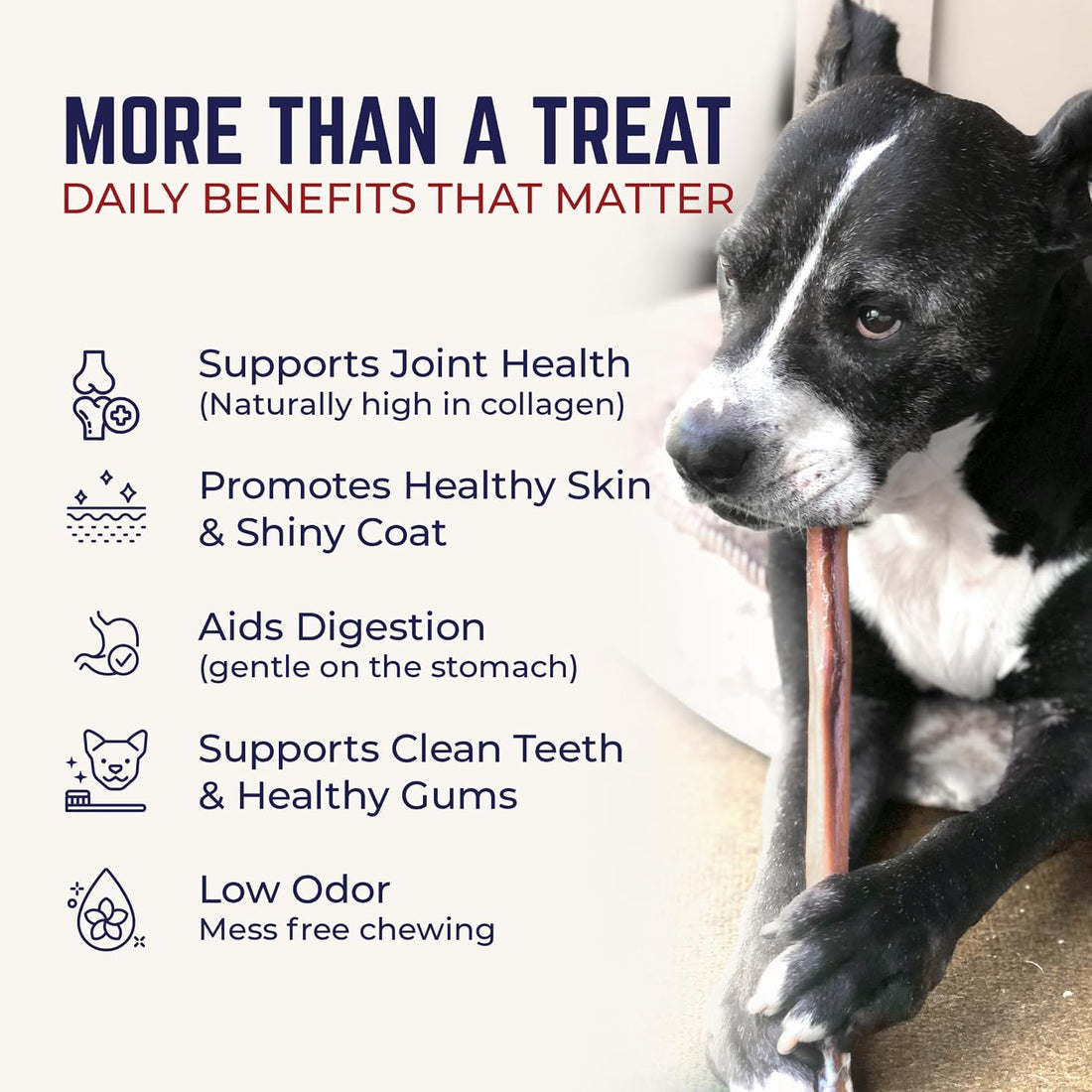 Devil Dog Pet Co Beef Collagen Sticks for Dogs Rawhide Free 6 Inch 10