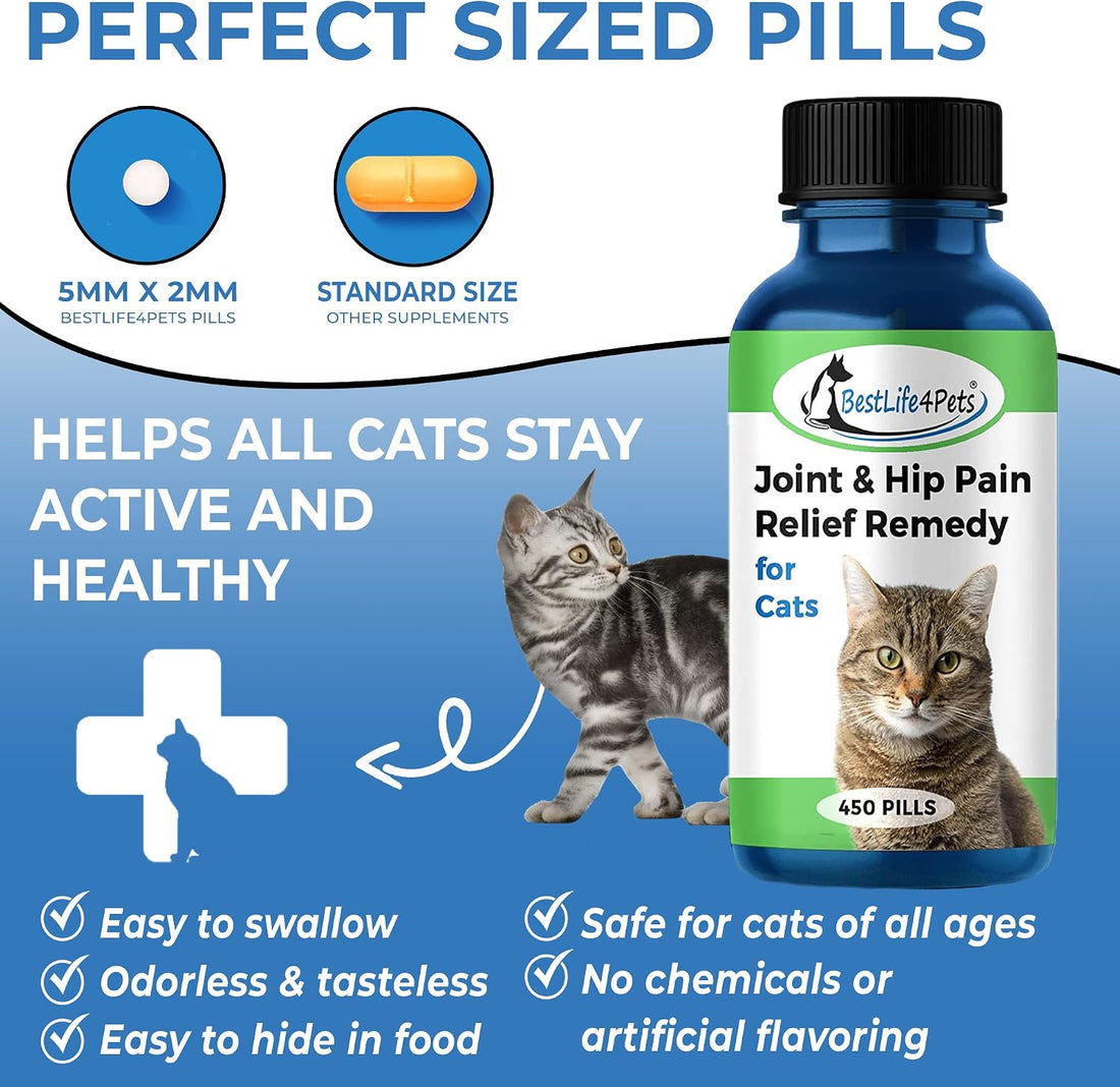 Cat Joint Supplement and Mobility Support