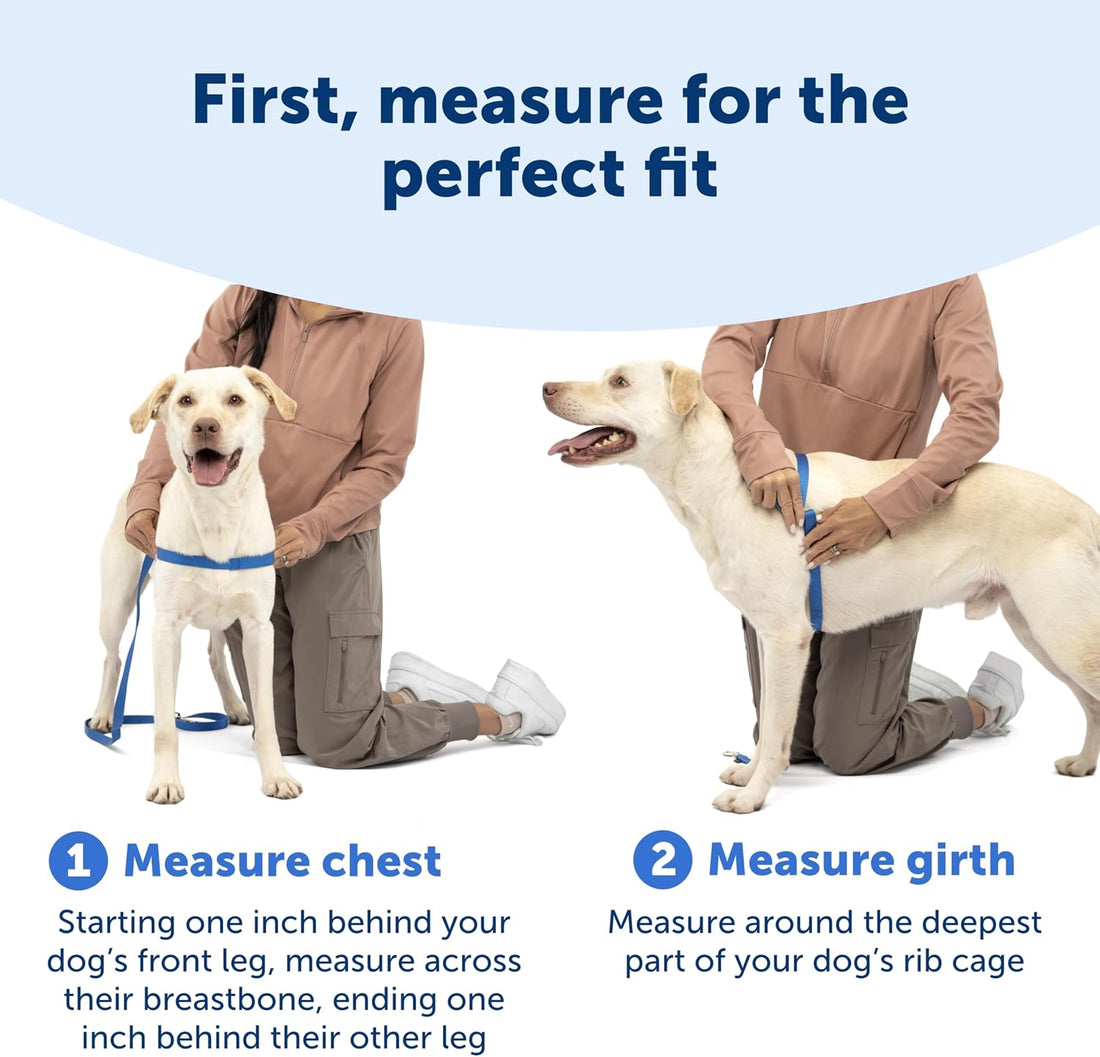 PetSafe Easy Walk Deluxe Dog Harness, No Pull Dog Harness