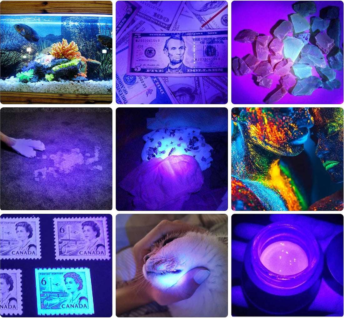 DARKBEAM UV 395nm Flashlight Blacklight Wood's lamp Black Light Mini