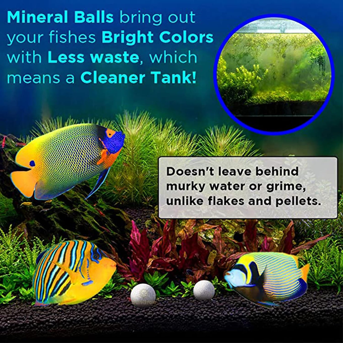 SunGrow Mineral Balls for Betta Water Conditioning, 0.3-Inch, 10 Pack
