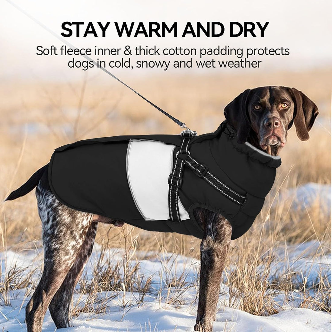 SUNFURA Small Dog Coat with Harness Built in