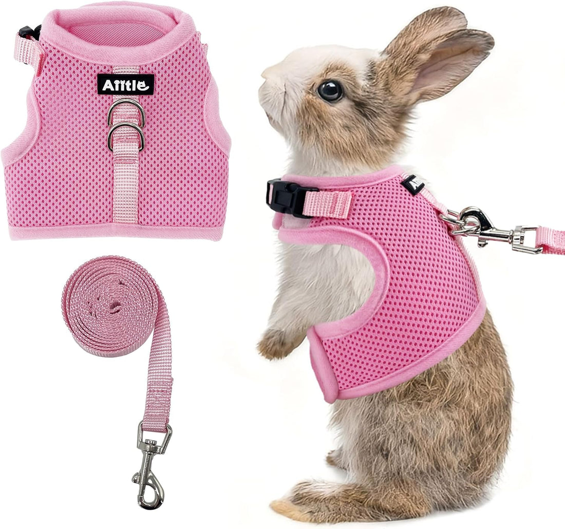 AIITLE Adjustable Rabbit and Leash Set - Lightweight & Portable