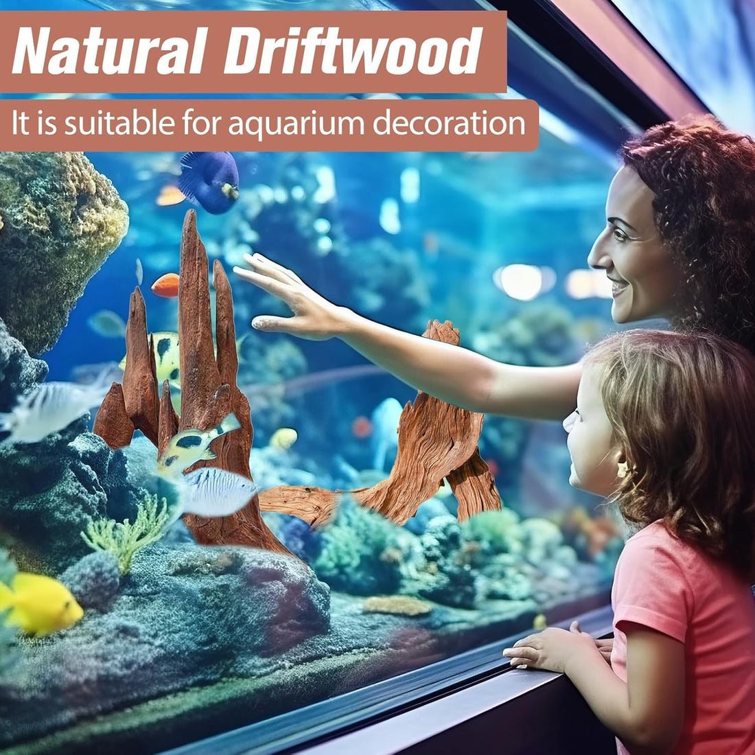 Natural Aquarium Driftwood Fish Tank Decorations Reptile Decor
