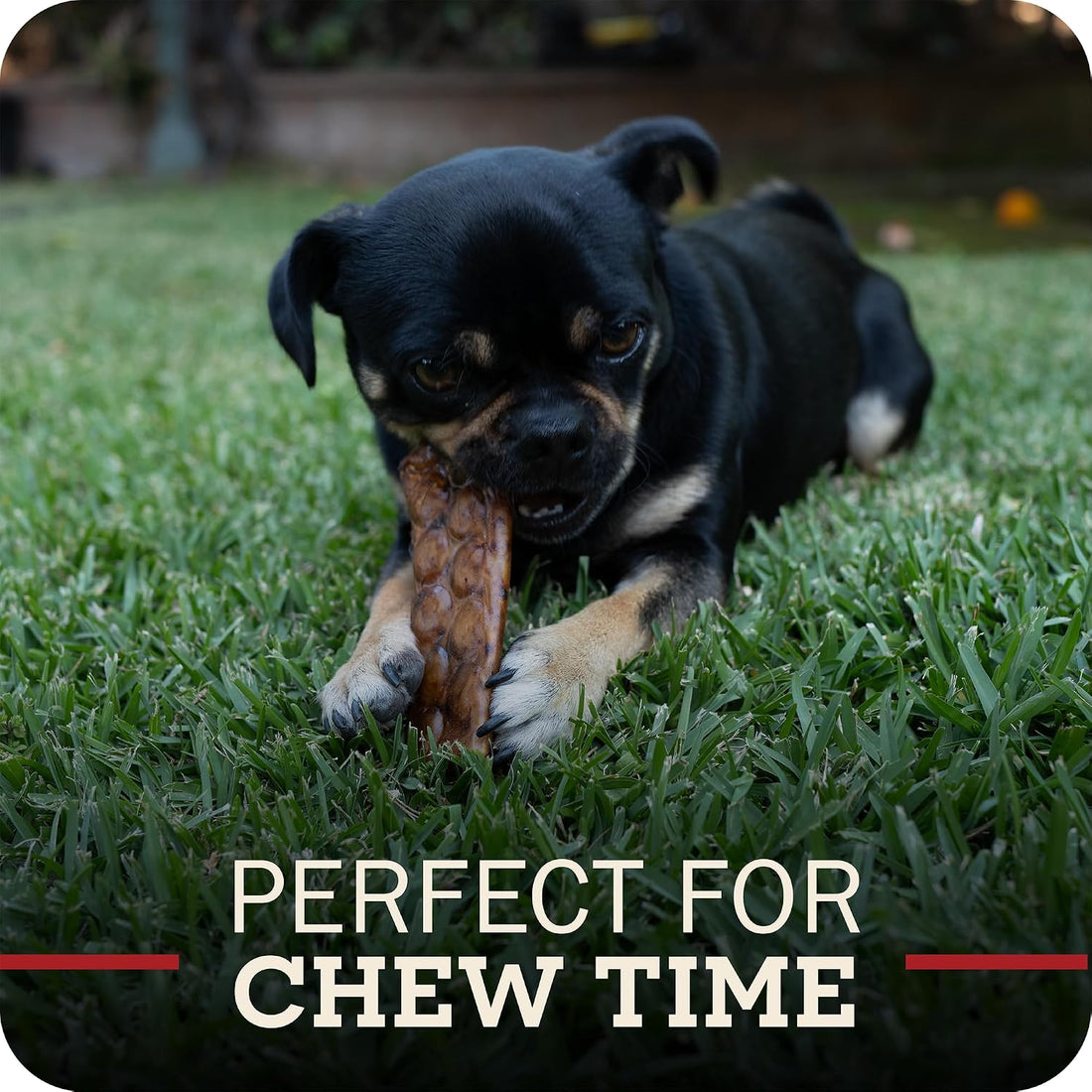 Redbarn Collagen Slices Beef Rawhide Chews for Dogs