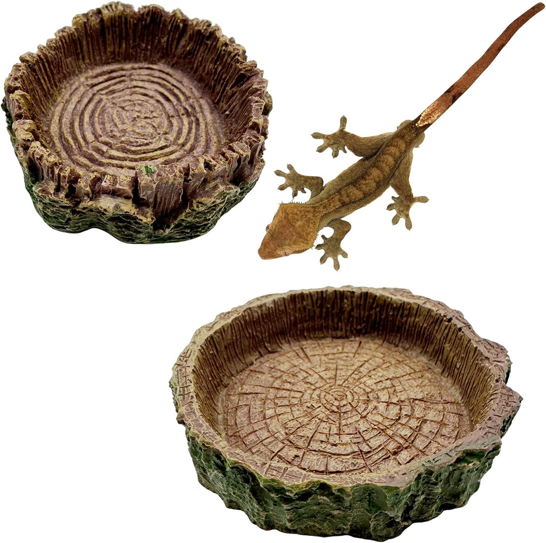 2 Pack Shallow Reptile Food Bowls