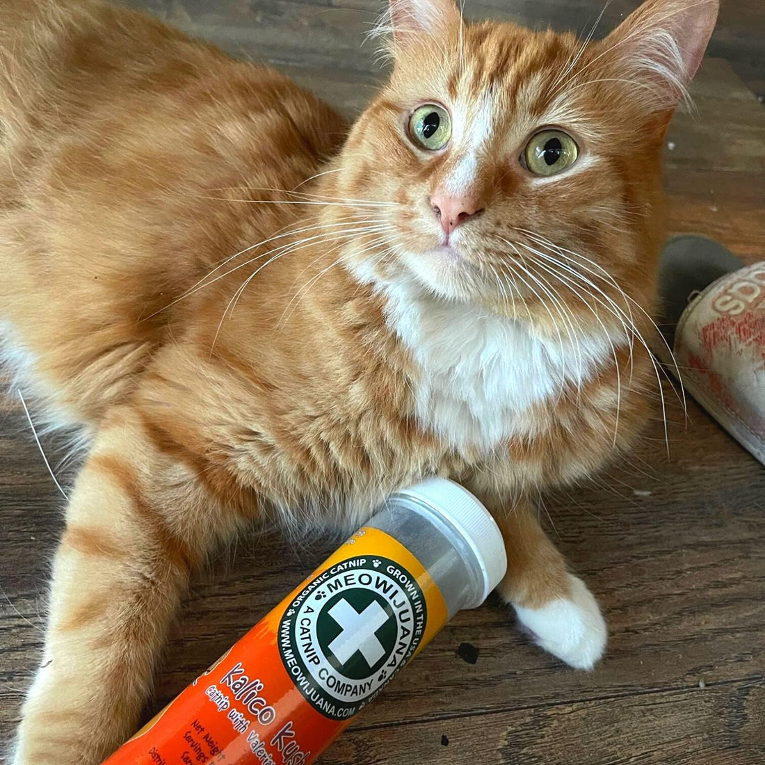 Meowijuana | Catnip Bundles | Organic | High Potency Cat Treats