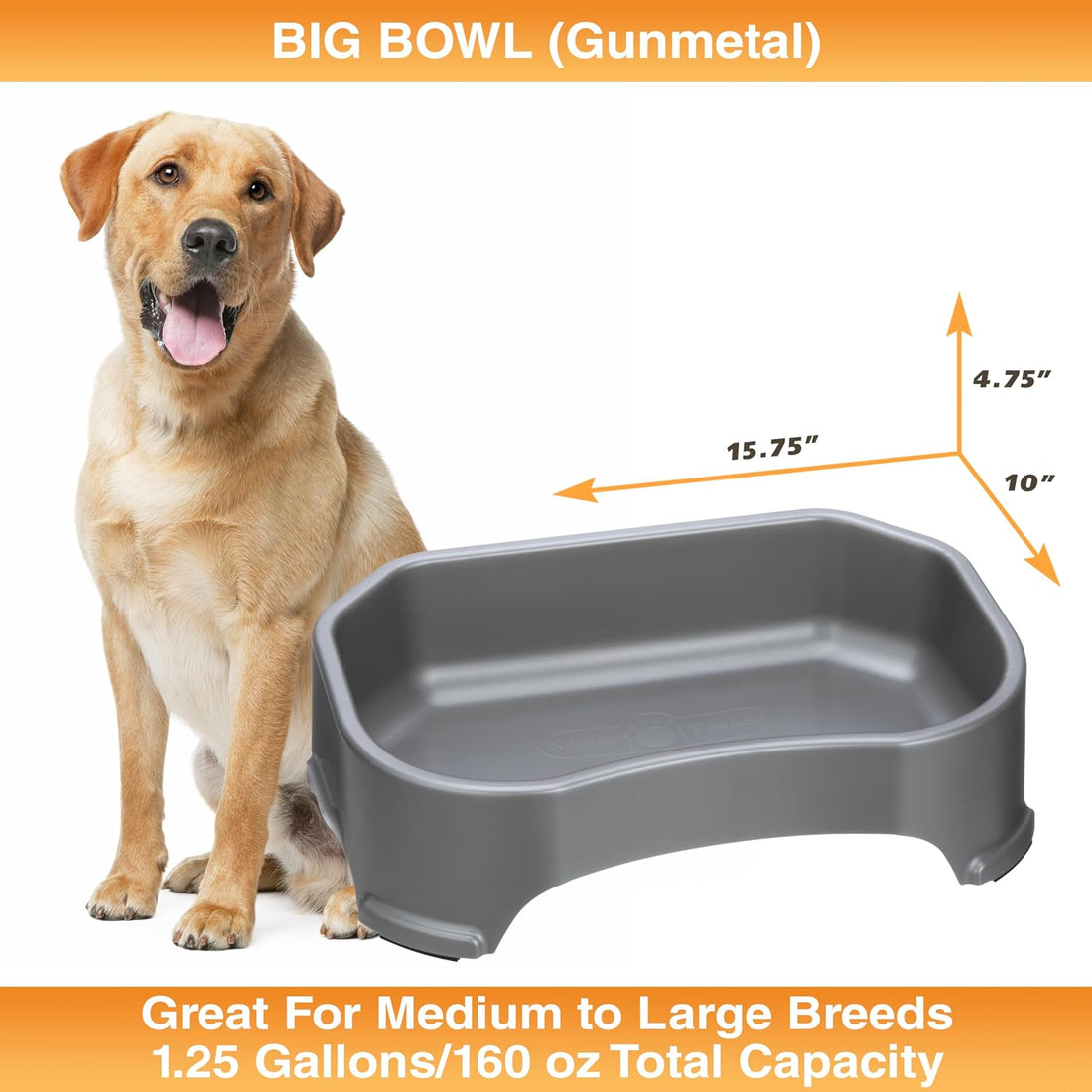 Neater Pet Brands Extra Large Water Bowl for Dogs