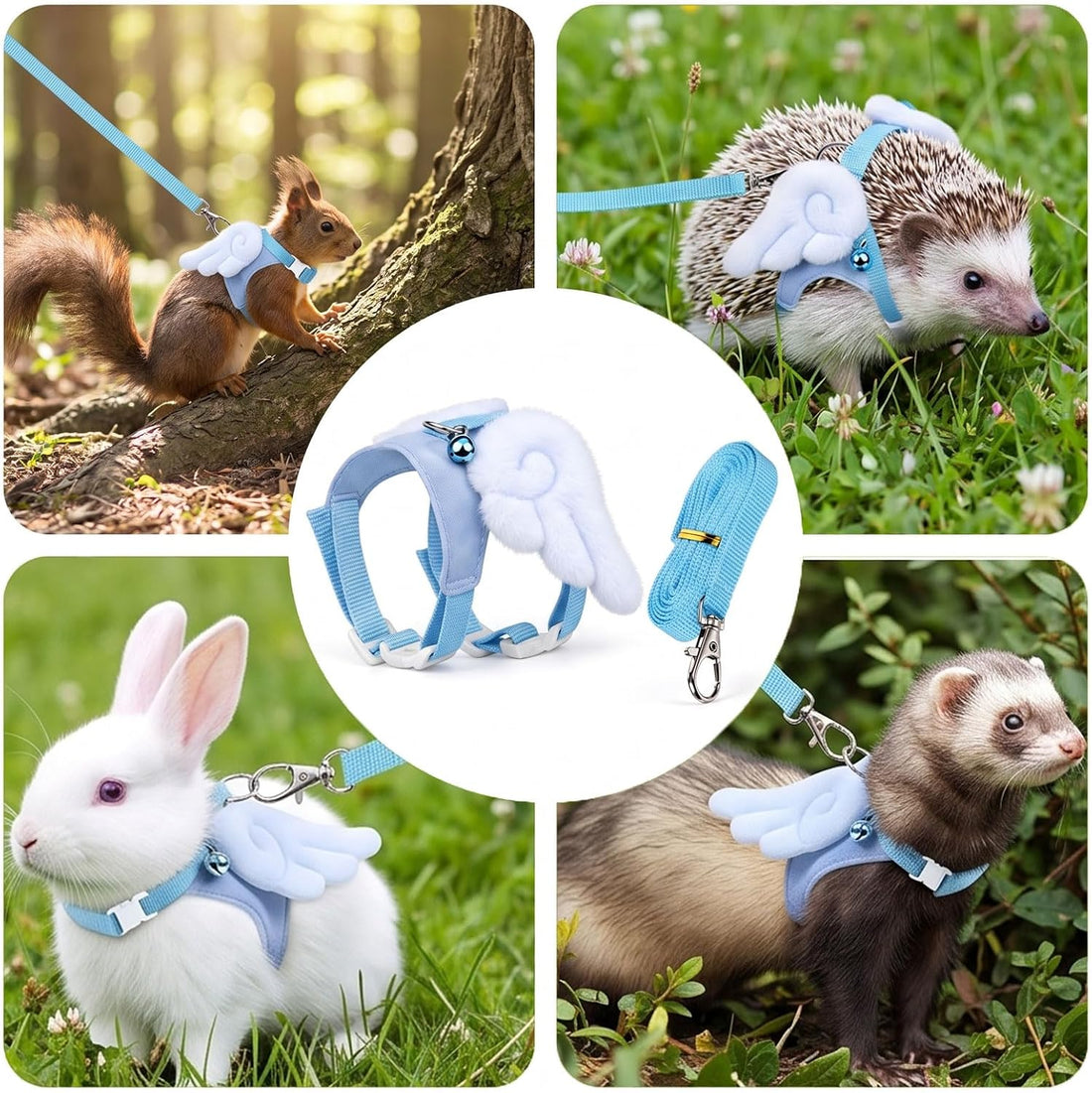 Nogeqi Ferret Harness and Leash Set, Guinea Pig Harness and Leash