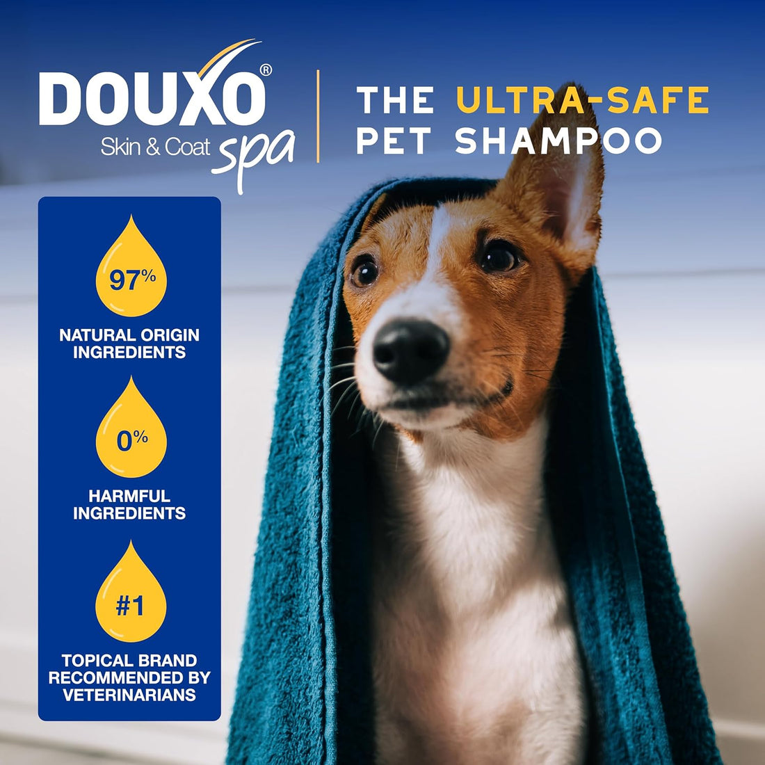 DOUXO SPA Oatmeal Dog Shampoo, 16 fl oz