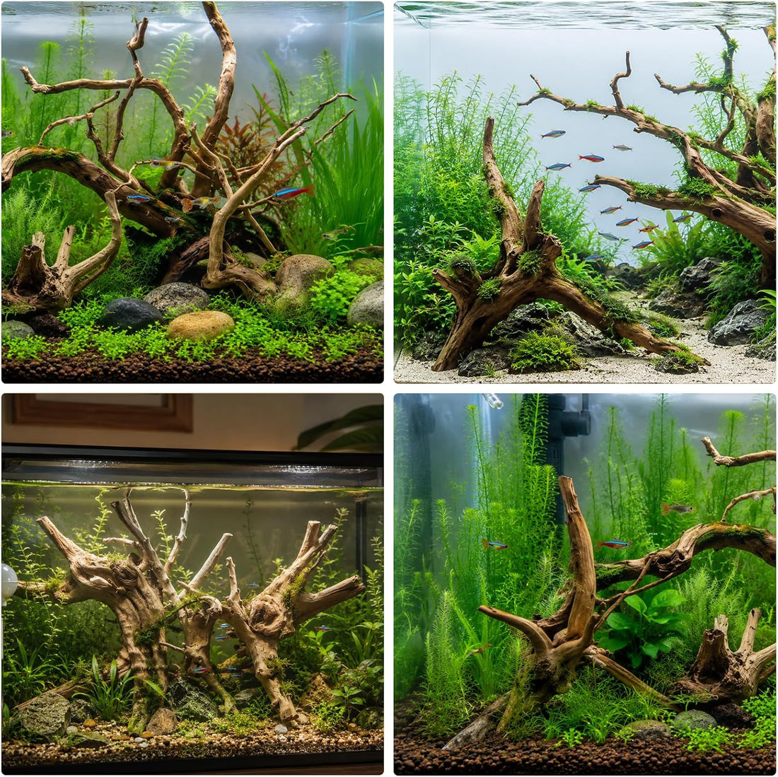 Natural Driftwood for Aquarium, Spider Wood Fish Tank Decor