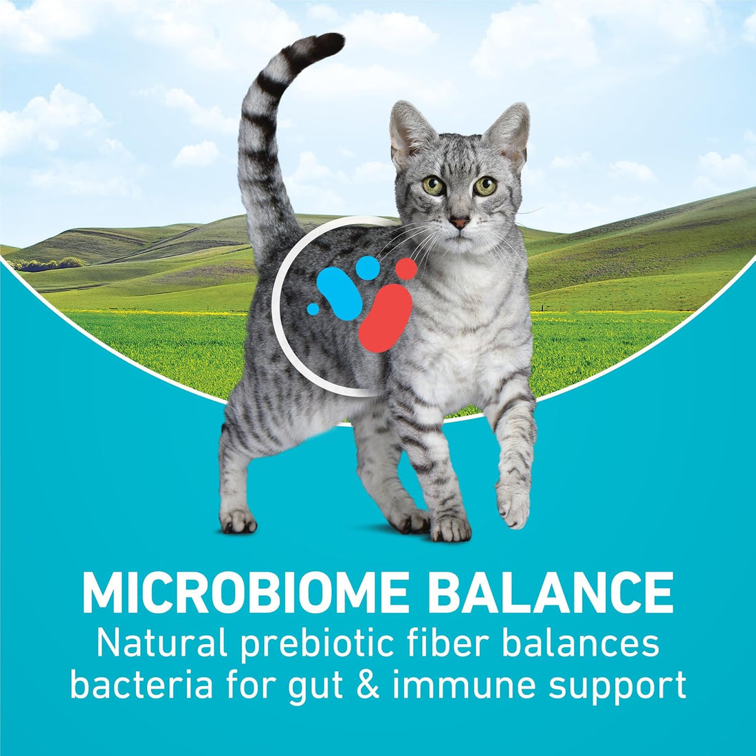 Purina ONE Natural Dry Cat Food