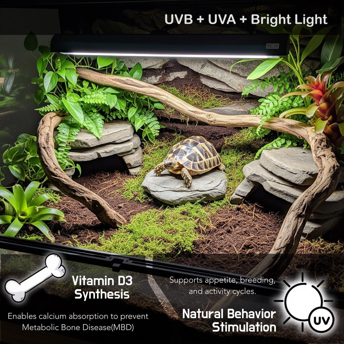 Upgraded T5 UVB Reptile Light