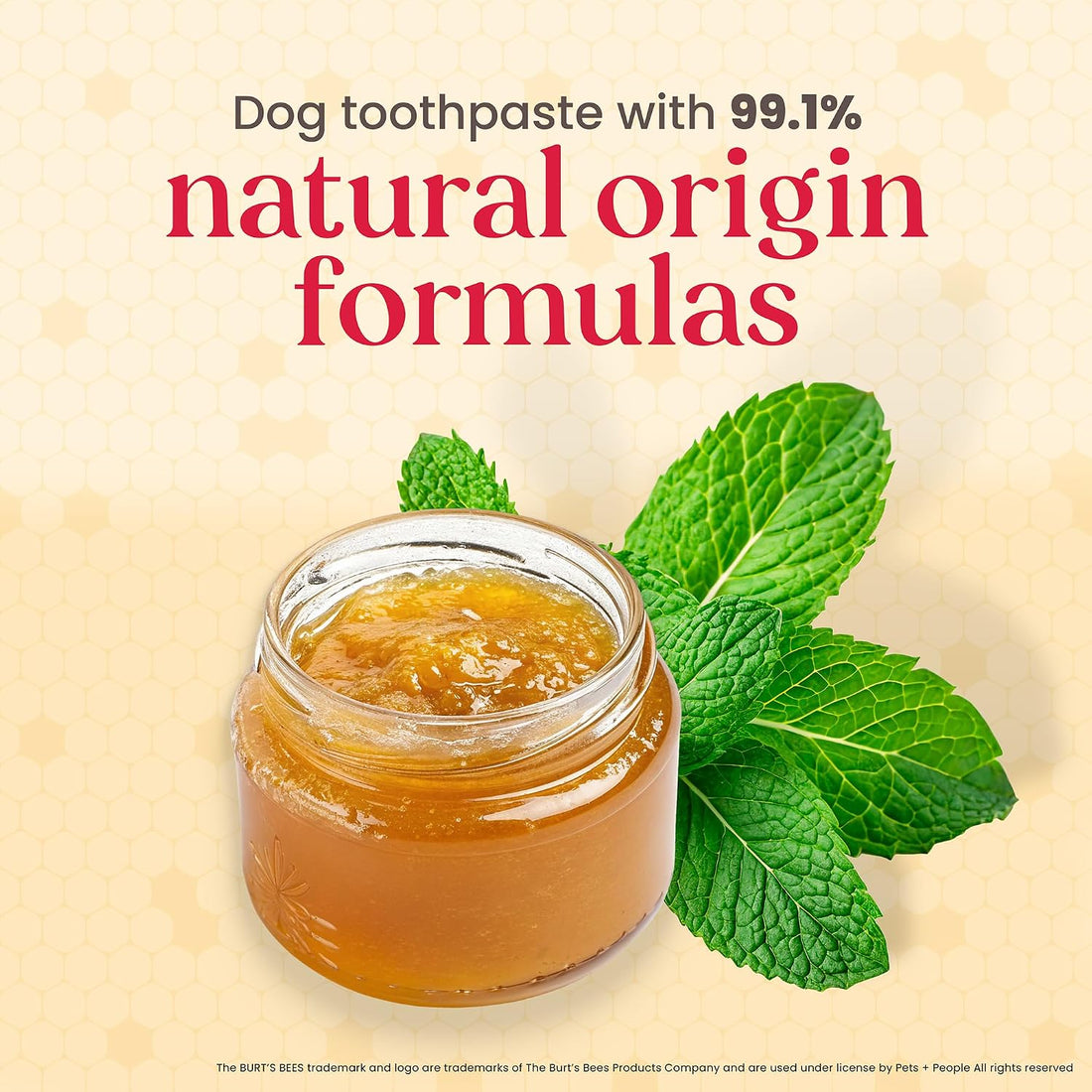 Burt's Bees Manuka Honey Fresh Mint Dog Dental Kit, 2.5 Oz