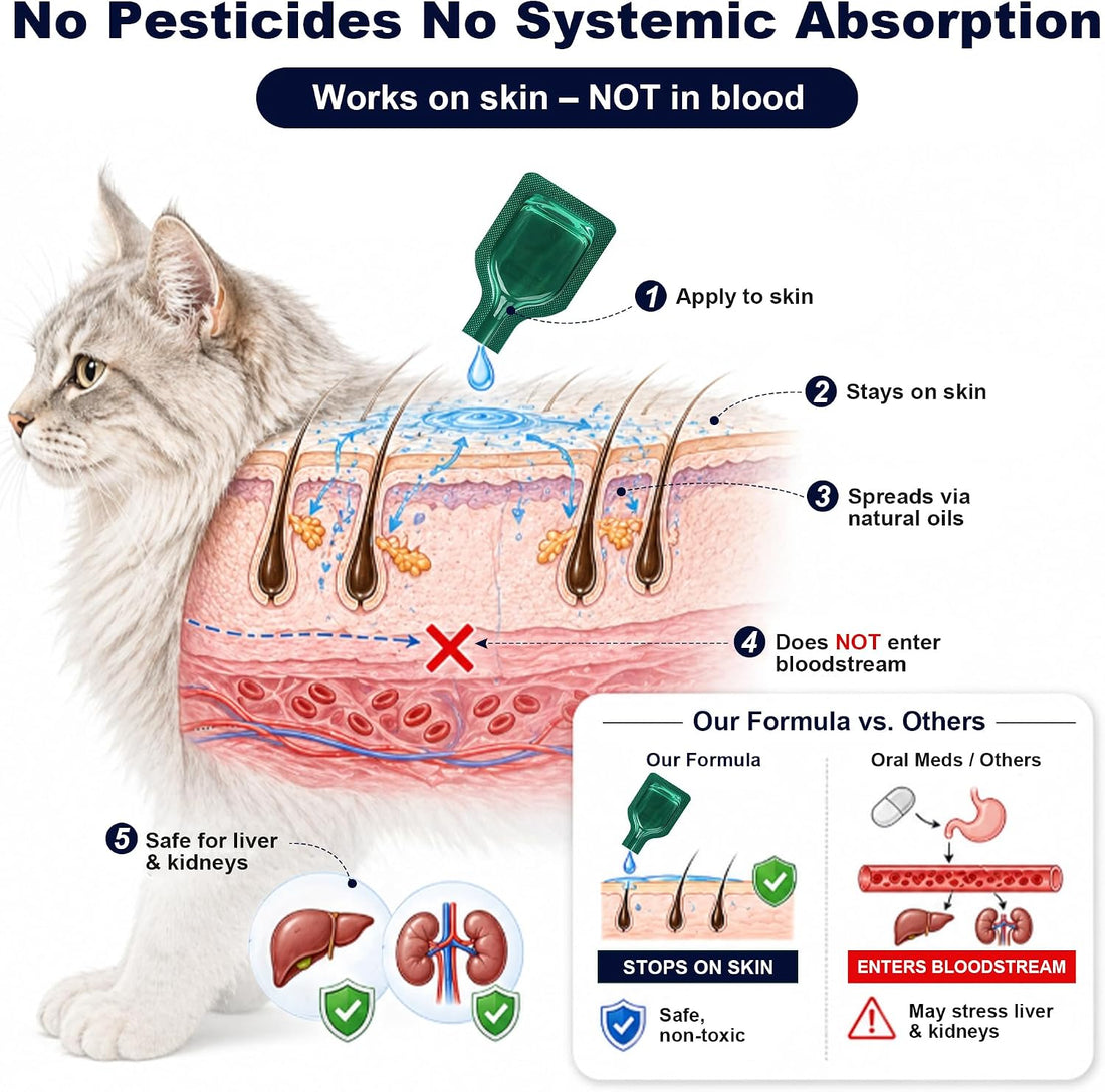Flea and Tick for Cats, Topical Flea Drops for Cat 9lb+, 6 Pack