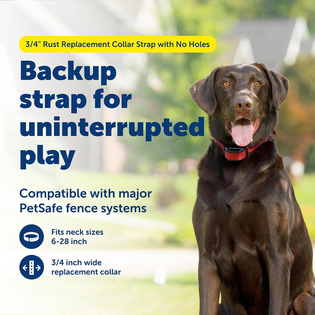 PetSafe 3/4 Inch Replacement Collar Strap, Rust