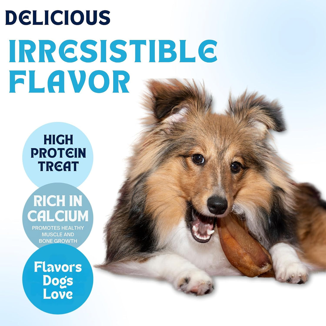 FETCHERONI Dog Treat Variety Box - Long Lasting Dog Chew Treats