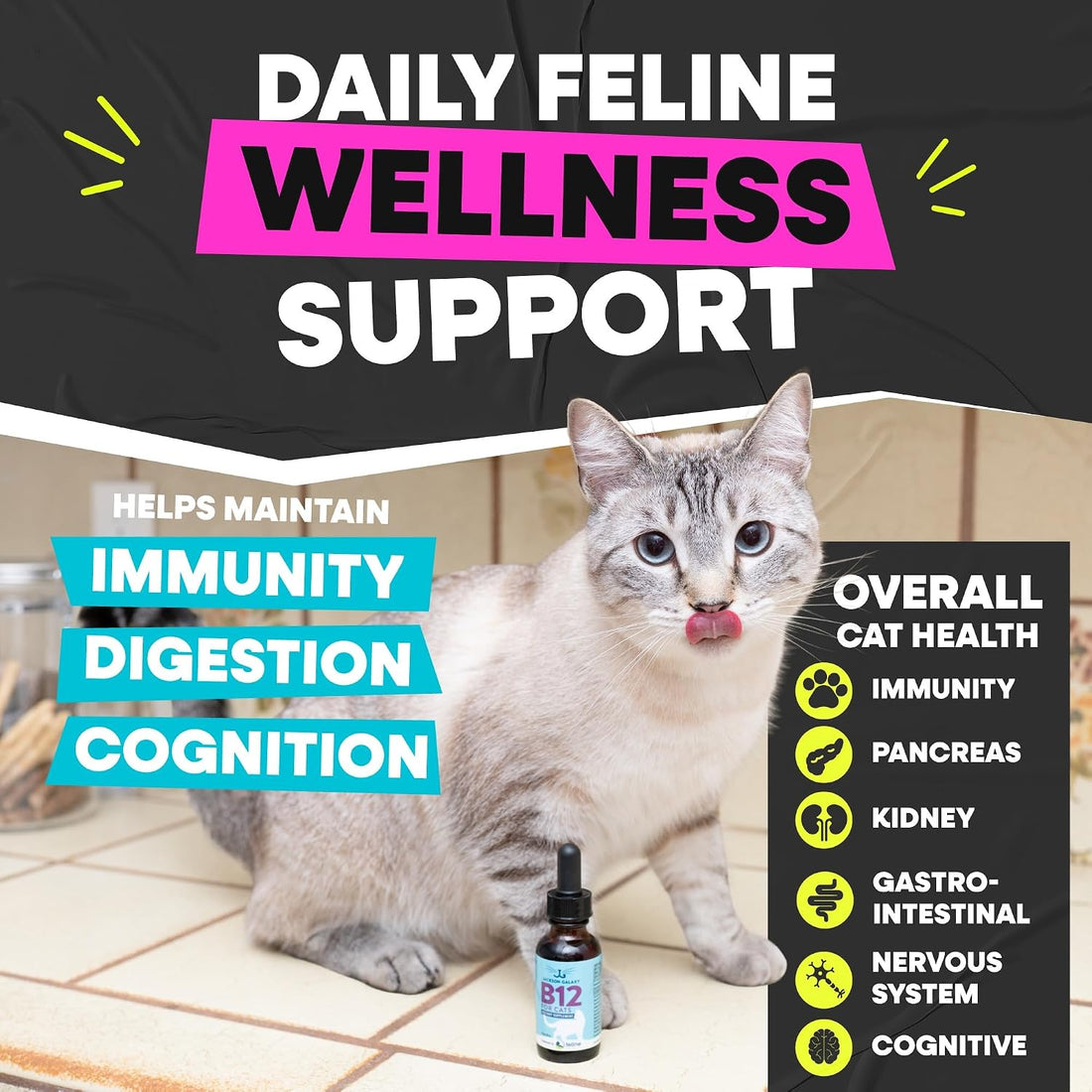 Jackson Galaxy Vitamin B12 for Cats, Liquid Daily Supplement Drops