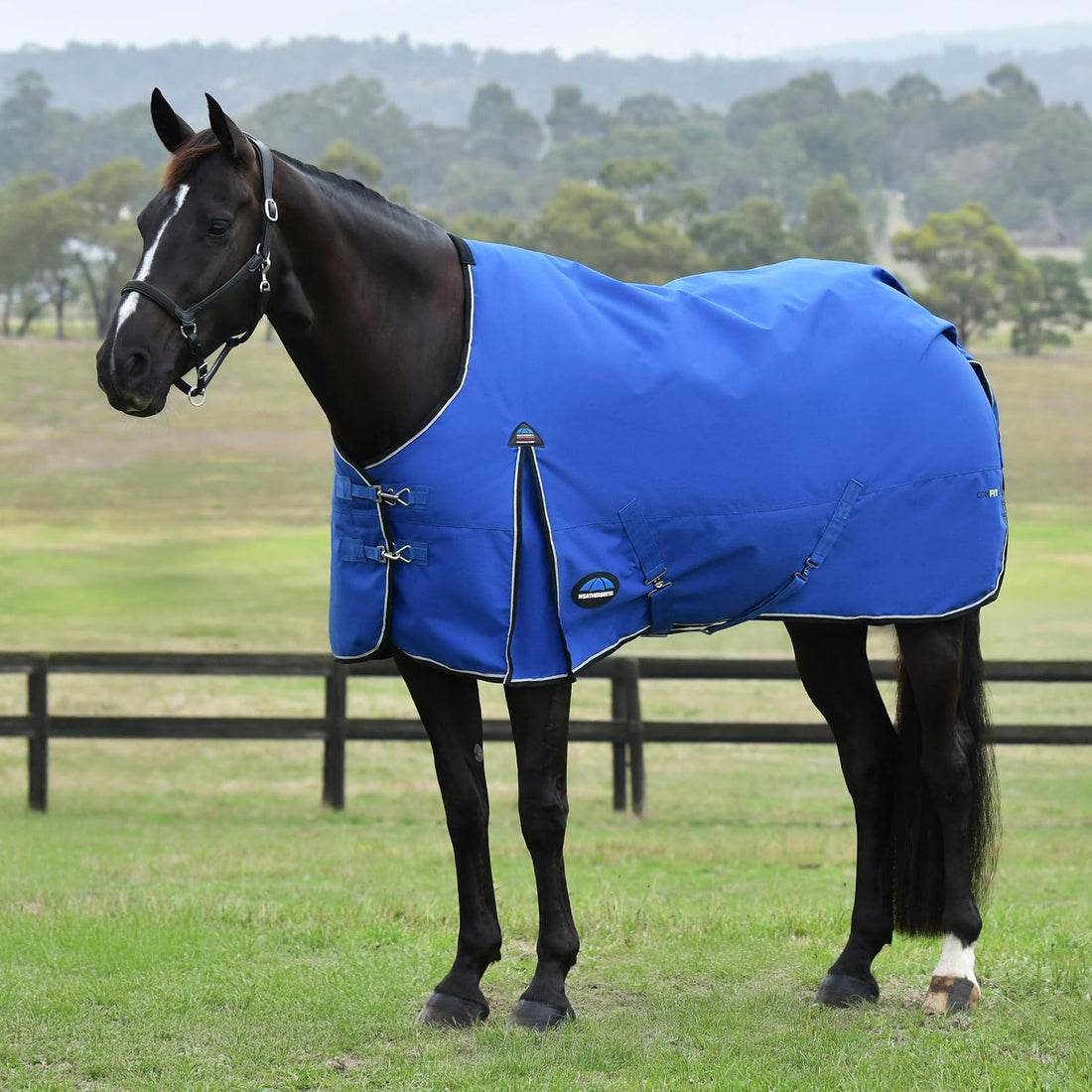WeatherBeeta ComFiTec Essential Turnout 220g, Rodeo Print, 78"