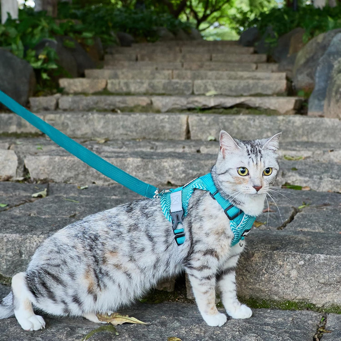 Cat Harness and Leash Set, Soft Mesh Cat Vest, Turquoise, XL