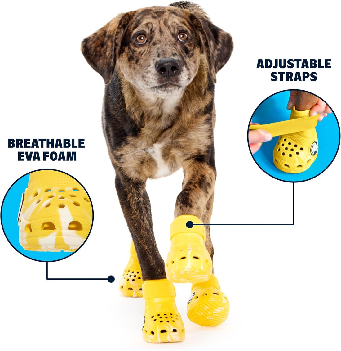 BARKBOX Yellow Crocs Dog Shoes - for Large Breeds (51-80 lbs)