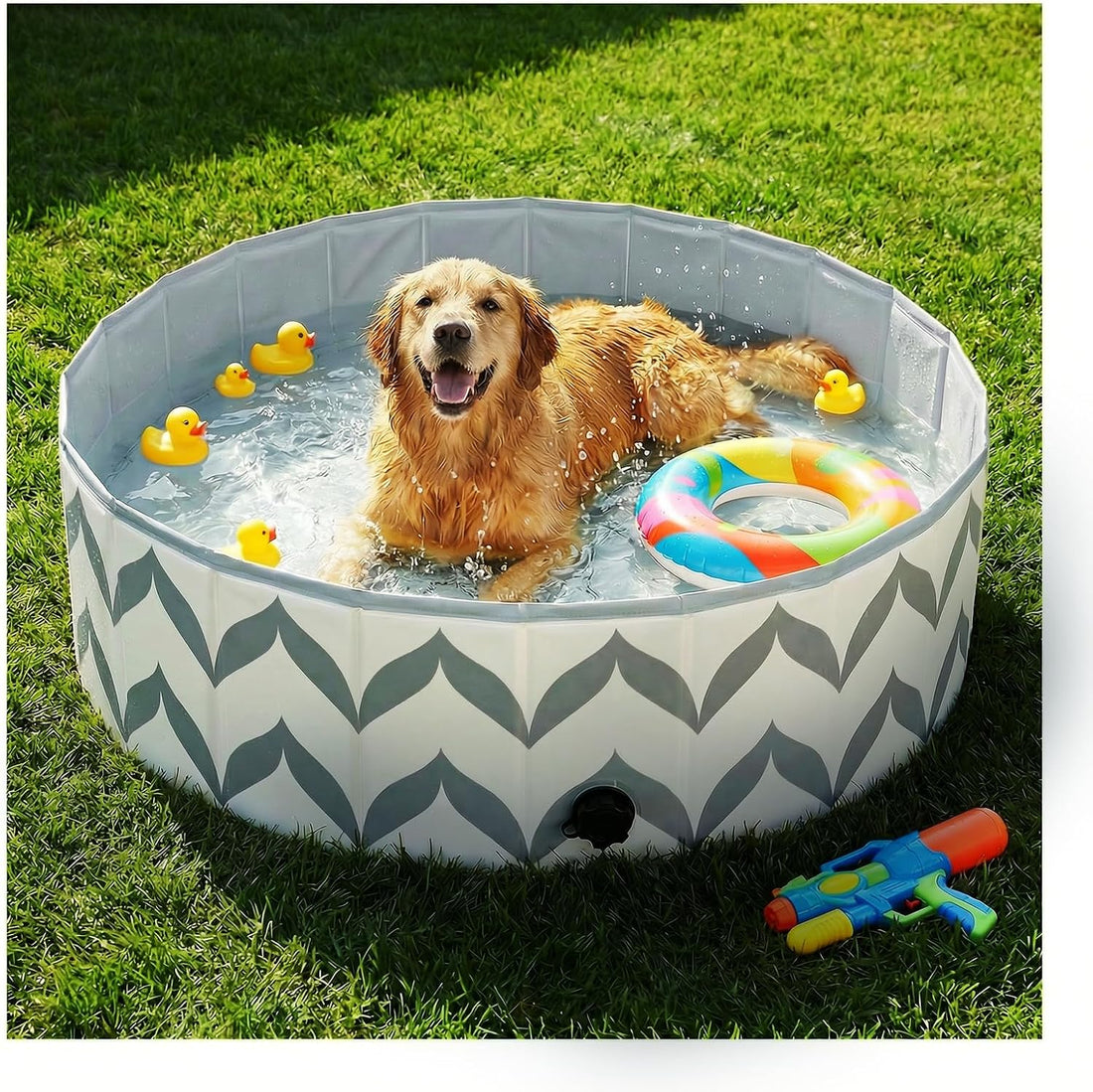 furrybaby Dog Pool Heavy-Duty Non-Slip Portable Foldable Stylish