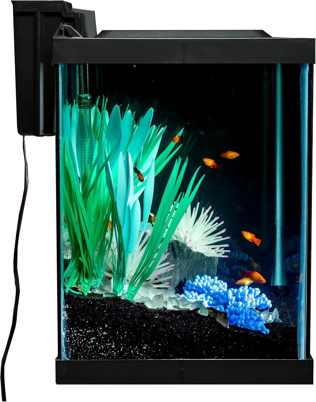 Tetra ColorFusion 20 Gallon Complete Aquarium Kit
