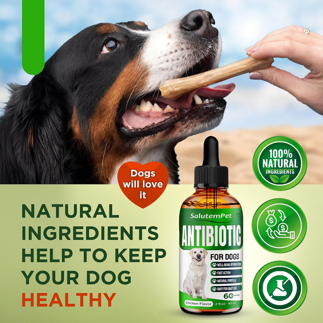 Dog Antibiotics for Infections, Cough, & Itching