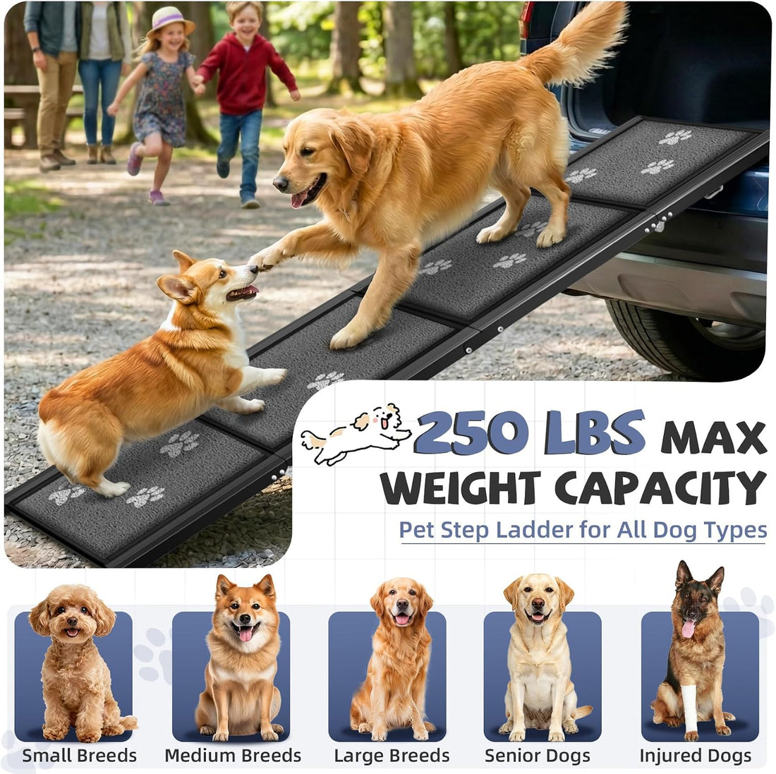 Dog Ramp for Car 63" Long & 17" Wide Portable Ramps for Large Dogs