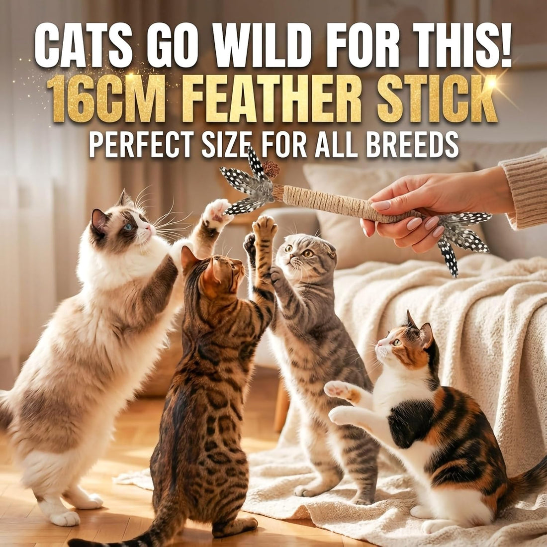 GREMBEB Cat Toys,3 Pack Silvervine Cat Feather Toy Kitten Chew Stick