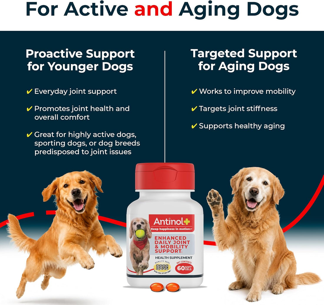 Antinol Plus Mobility Hip & Joint Supplement for Dogs, 120 Soft Gels