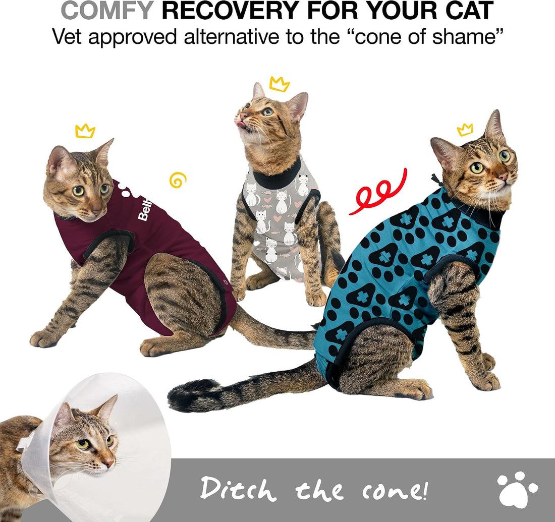 BellyGuard Cat Recovery Suit for Female and Male