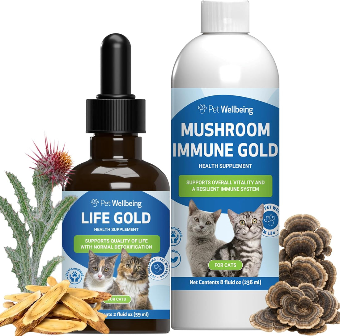 Pet Wellbeing More Mushrooms Bundle for Cats - Immune System Support