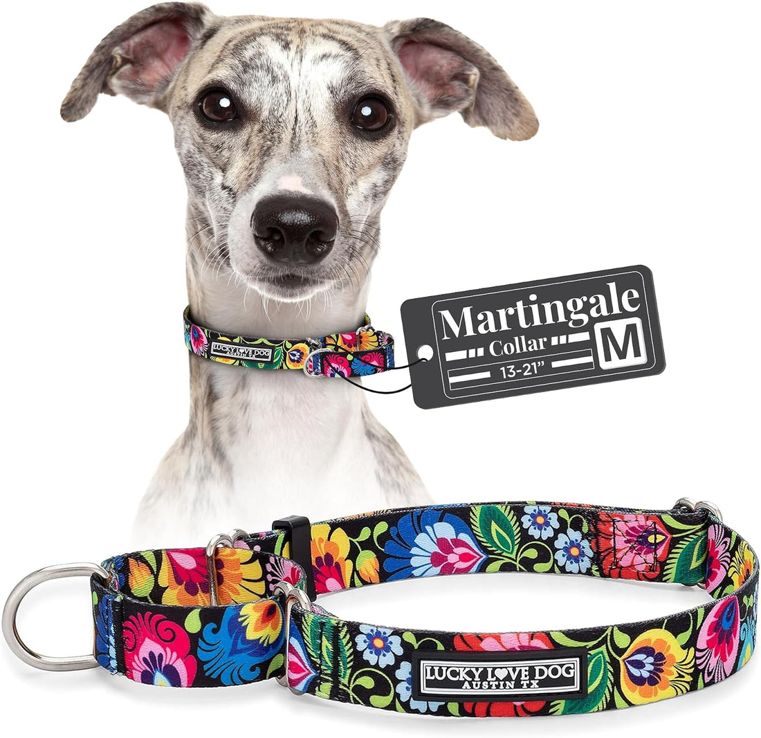 Lucky Love Dog Martingale Collar for Medium Dogs Cute – Blackbird
