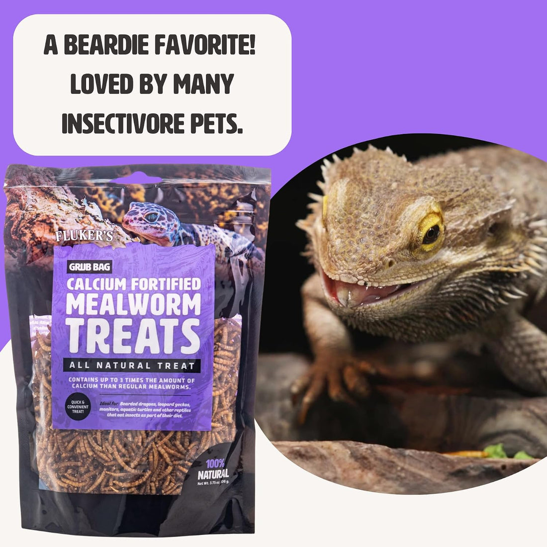 Fluker’s Grub Bag All Natural Calcium Fortified Mealworm Treats