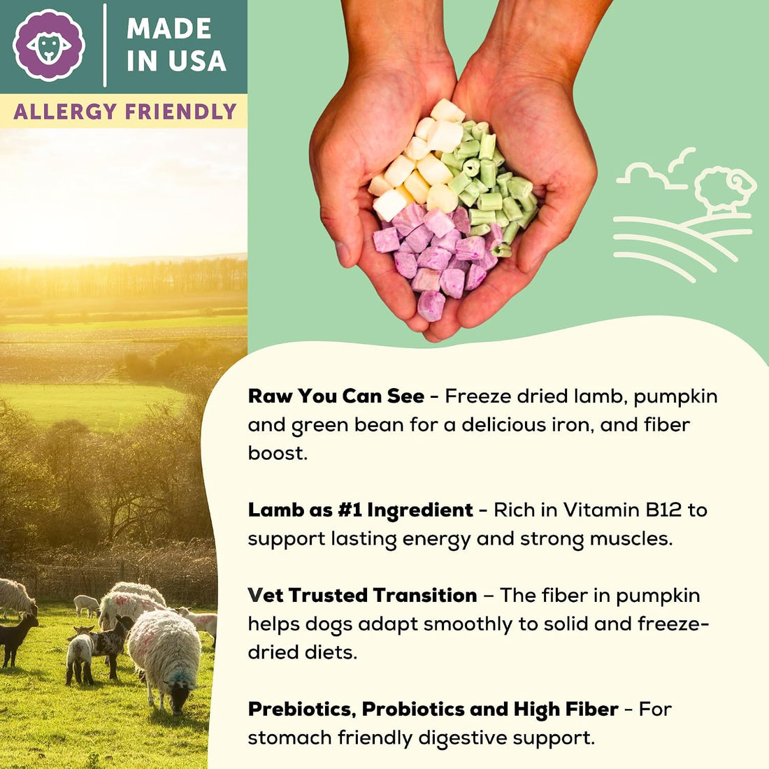 A Better Treat | Allergy Friendly Lamb Dry Dog Food | Raw You Can See