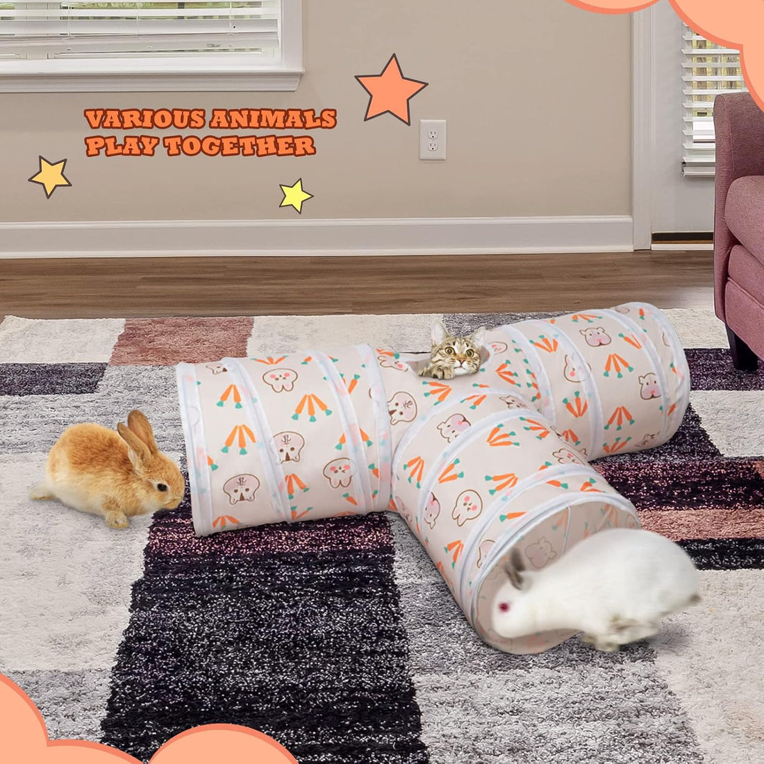 BWOGUE Bunny Tunnels & Tubes